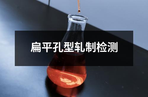 扁平孔型軋制檢測