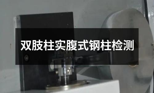 雙肢柱實(shí)腹式鋼柱檢測(cè)