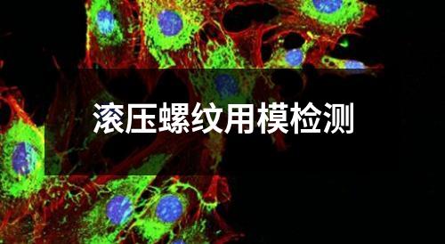 滾壓螺紋用模檢測