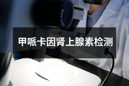 甲哌卡因腎上腺素檢測