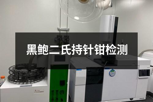 黑鮑二氏持針鉗檢測(cè)