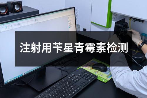注射用芐星青霉素檢測(cè)