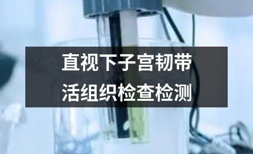 直視下子宮韌帶活組織檢查檢測