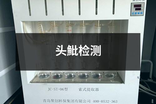 頭魮檢測