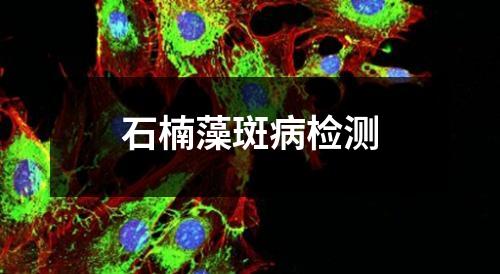 石楠藻斑病檢測(cè)