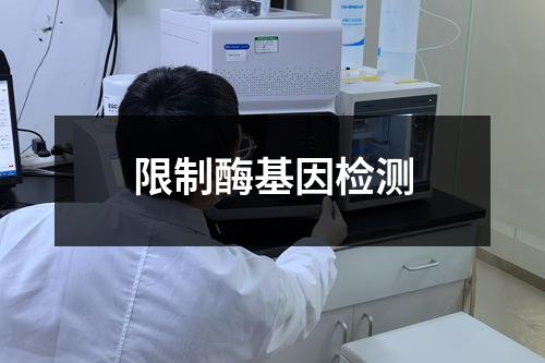 限制酶基因檢測