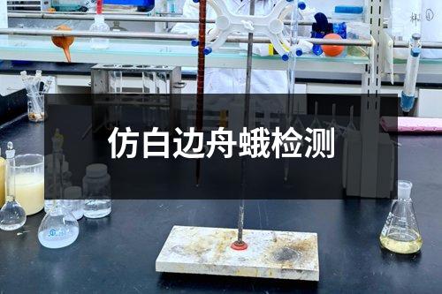 仿白邊舟蛾檢測