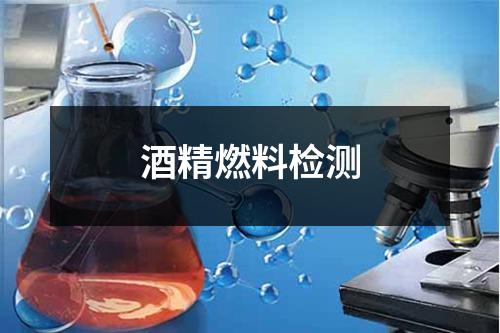 酒精燃料檢測
