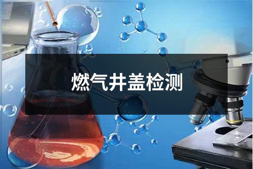 燃氣井蓋檢測