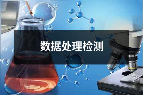 數(shù)據(jù)處理檢測(cè)