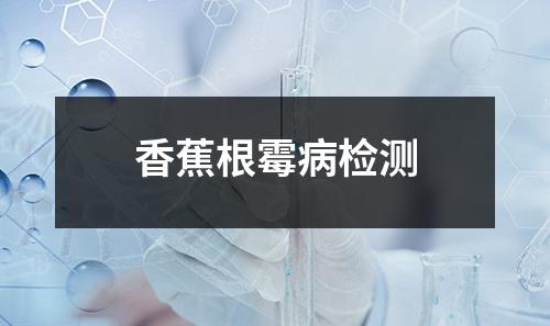 香蕉根霉病檢測