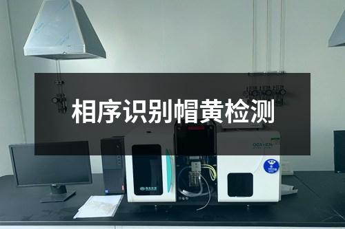 相序識(shí)別帽黃檢測(cè)