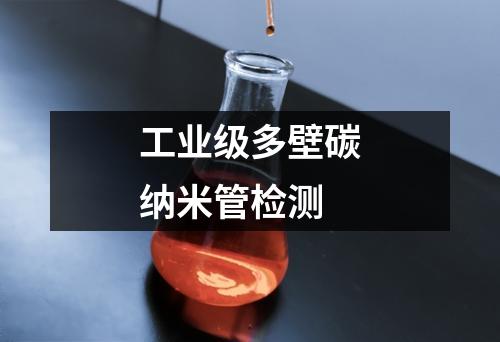 工業(yè)級多壁碳納米管檢測