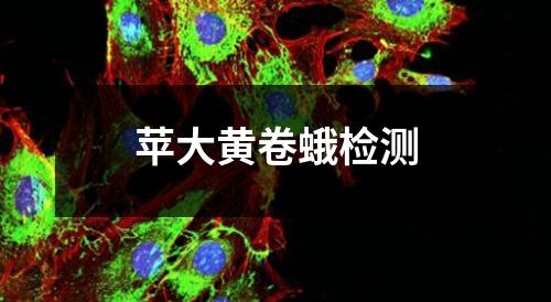 蘋大黃卷蛾檢測(cè)