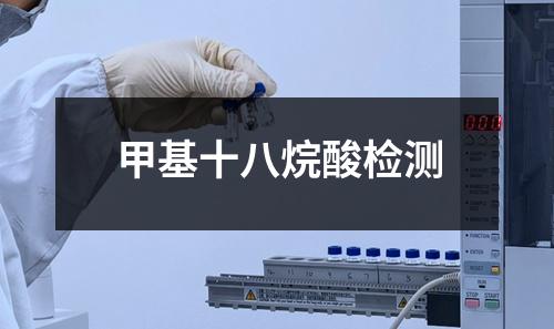 甲基十八烷酸檢測