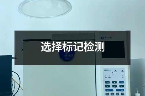 選擇標(biāo)記檢測