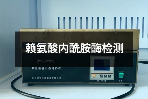 賴氨酸內酰胺酶檢測