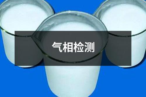 氣相檢測(cè)