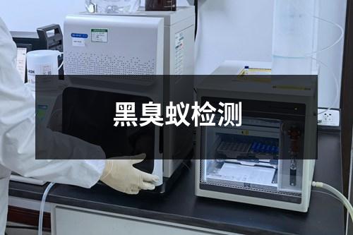 黑臭蟻檢測