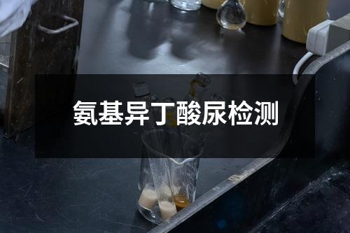 氨基異丁酸尿檢測