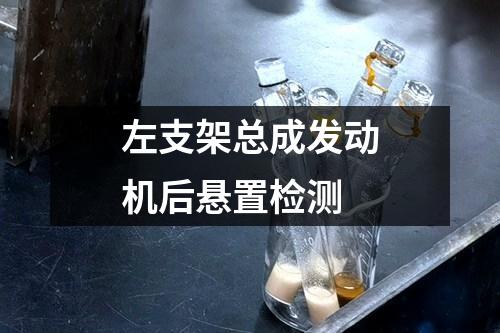 左支架總成發(fā)動機(jī)后懸置檢測