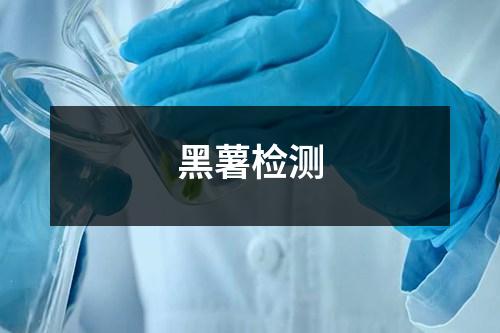 黑薯檢測