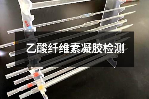 乙酸纖維素凝膠檢測(cè)