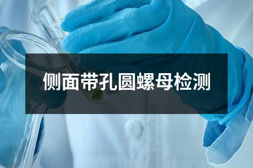 側(cè)面帶孔圓螺母檢測(cè)