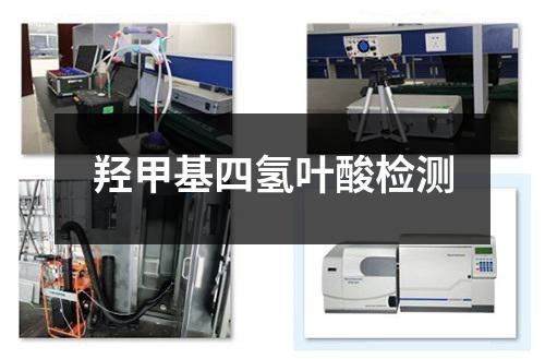 羥甲基四氫葉酸檢測