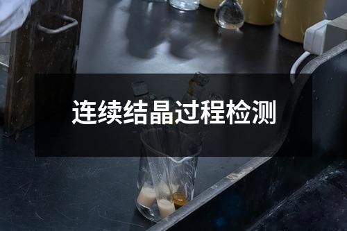 連續(xù)結晶過程檢測