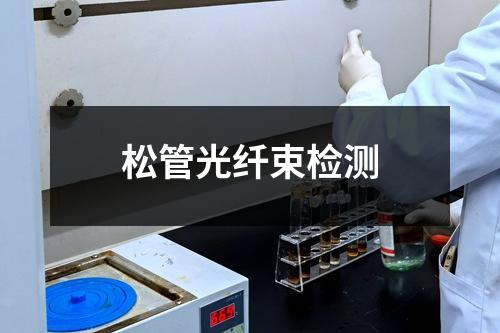 松管光纖束檢測(cè)