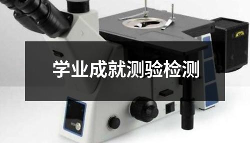 學(xué)業(yè)成就測(cè)驗(yàn)檢測(cè)