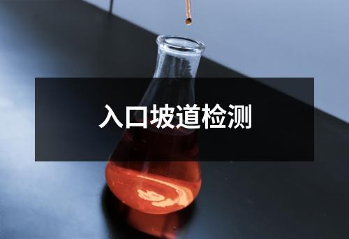 入口坡道檢測