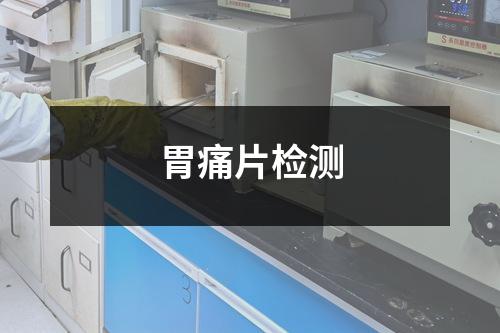 胃痛片檢測(cè)