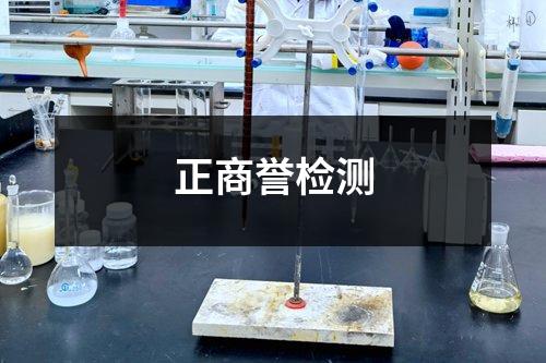 正商譽檢測