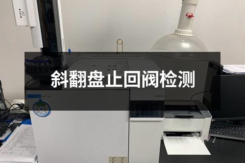 斜翻盤止回閥檢測