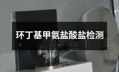 環(huán)丁基甲氨鹽酸鹽檢測