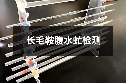 長毛鞍腹水虻檢測(cè)