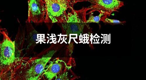 果淺灰尺蛾檢測