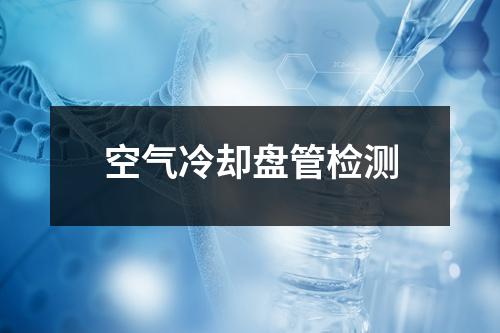 空氣冷卻盤管檢測