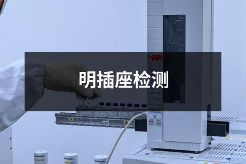 明插座檢測