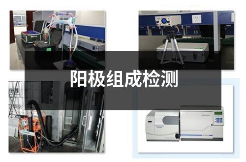 陽極組成檢測