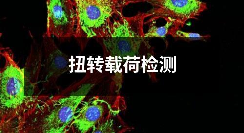 扭轉載荷檢測
