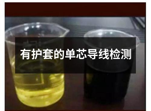 有護(hù)套的單芯導(dǎo)線檢測(cè)