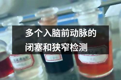 多個入腦前動脈的閉塞和狹窄檢測