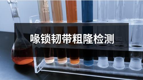喙鎖韌帶粗隆檢測(cè)