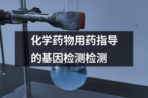 化學(xué)藥物用藥指導(dǎo)的基因檢測檢測