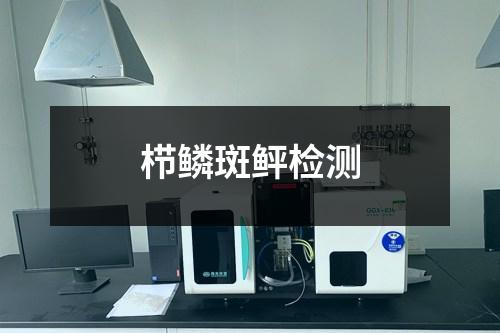 櫛鱗斑鲆檢測