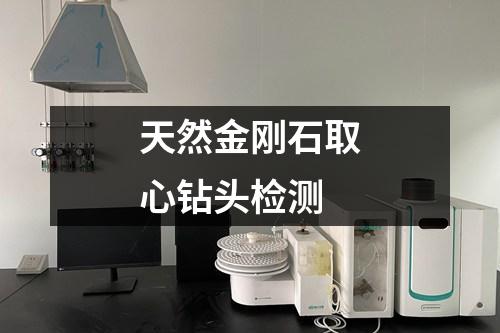 天然金剛石取心鉆頭檢測