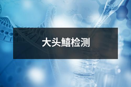 大頭鱚檢測